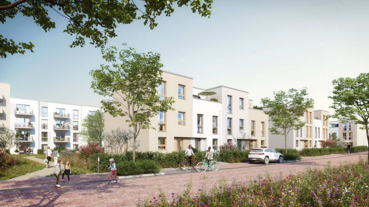 An island of community