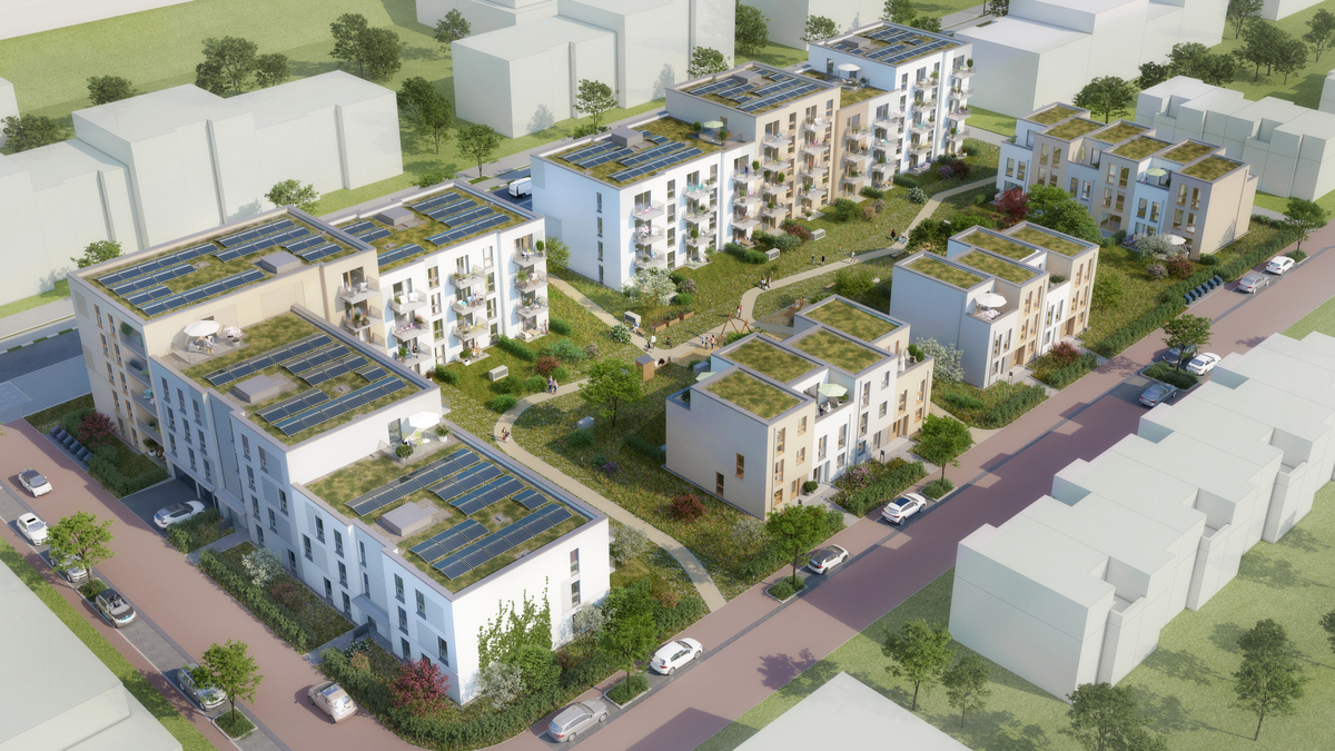 Nyoo berry sets new standards